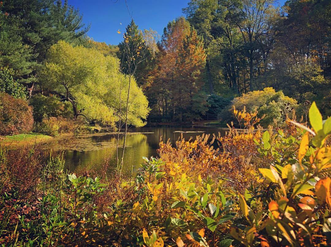 Seventh Annual Visitor’s Photography Exhibition