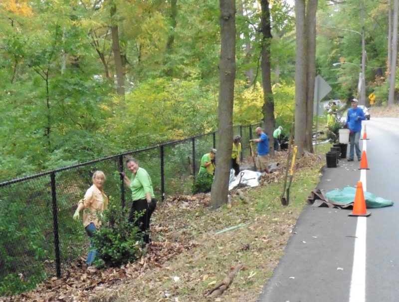 Jenkins Arboretum & Gardens Receives Land Ethics Award for Trout Creek Watershed Restoration