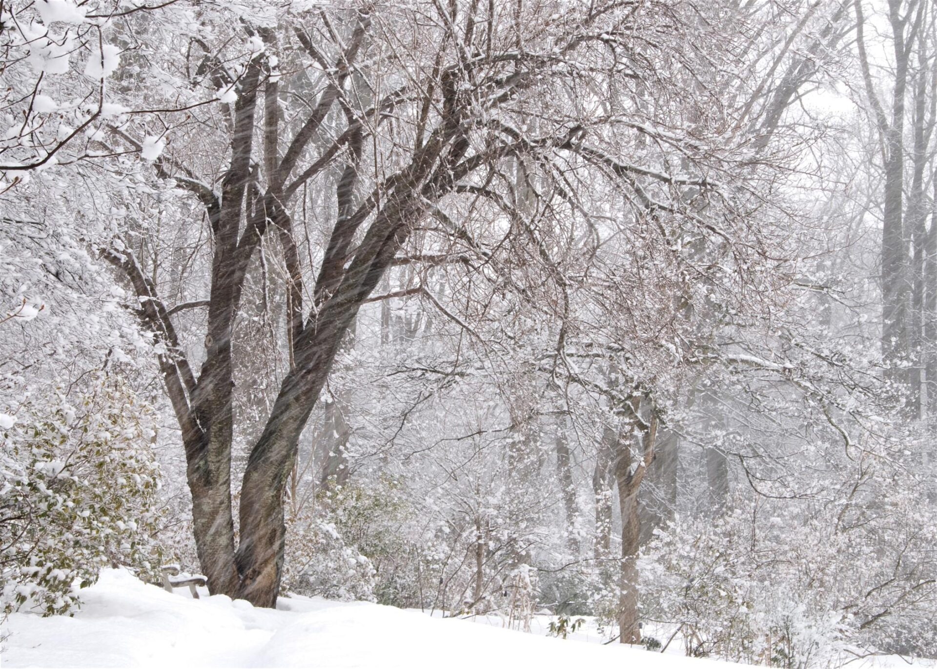 Winter Landscape Photography