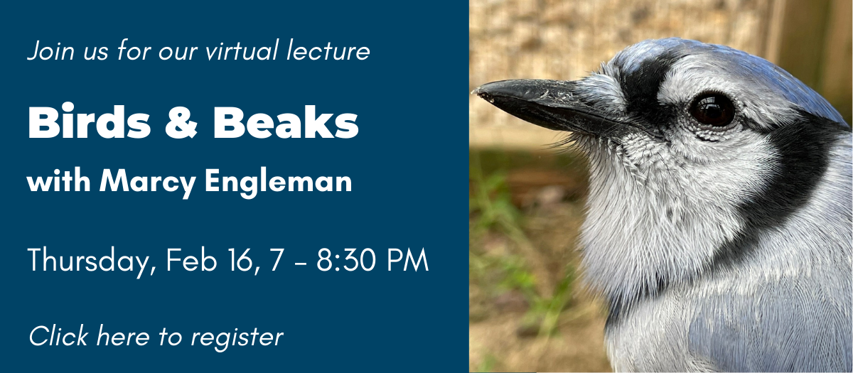 Home Page Sliding Photo Album 55 Jenkins Arboretum Gardens